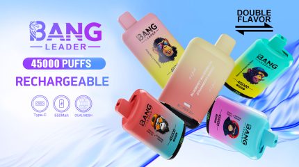Bang Leader 45K Puffs 2-in-1 Prefilled Vape | Dual Flavor,  Rechargeable