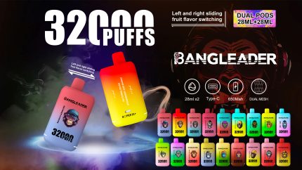 Bang Leader 32K Puffs 2-in-1 Prefilled Vape | Dual Flavor,  Rechargeable